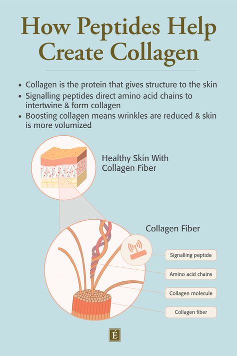 Peptides Benefits, Peptides Skin Care, Health Benefits Of Collagen, Remove Skin Tags Naturally, Eminence Organic Skin Care, Skin Facts, Hair And Skin Care, Collagen Fibers, Skin Advice