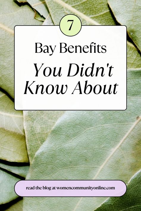 bay leaf hair benefits, bay leaf in wallet benefits, bay leaf oil benefits for hair, bay leaf skin benefits, bay leaf tea benefits for hair, bay leaves benefits burning, the bay employee benefits Bay Leaf Tea Benefits, Bay Leaves Uses, Bay Leaf Benefits, Bay Leaf Tea, Bay Leaf Tree, Burning Bay Leaves, Leaf Health, Women Community, Hair Tea