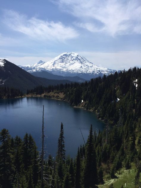 Summit Lake with Mt. Rainier Mountain Summit, Grad Trip, Summit Lake, Mt Rainier, 2024 Vision, Larp, Black Bird, Mount Rainier, The Great Outdoors