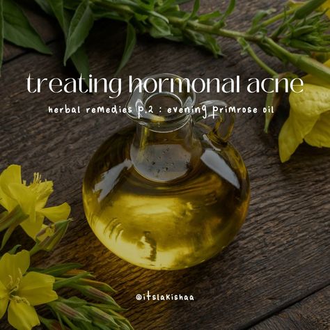 Herbal teas for hormonal acne featuring Evening Primrose, a natural remedy to balance hormones and enhance skin health. Ideal for holistic skincare routines. Primrose Benefits, Evening Primrose Benefits, Treat Hormonal Acne, Holistic Skincare, Holistic Skin Care, Balancing Hormones, Natural Acne, Balance Hormones, Reducing Inflammation