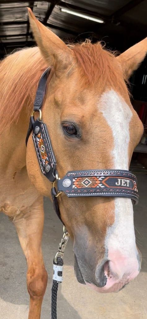 Hand made custom Horse halter with hand beaded inlay. Genuine top grade leather set in a Weaver halter. Customize with your favorite colors..your choice of halter color as well. Custom Halters Horses, Tack Room Ideas Barn, Cute Horse Tack, Halters For Horses, Western Horse Tack Turquoise, Horse Tack Western, Leather Horse Halter, Barrel Racing Tack Rodeo, Horse Halloween Costumes