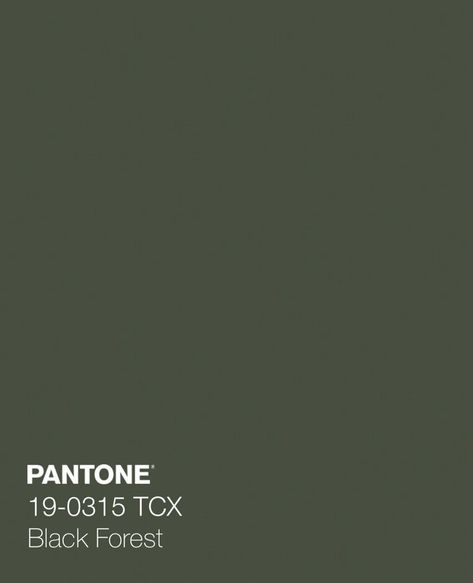 Pantone Colour Palettes, Forest Green Color, Green Colour Palette, Black Forest, Color Collection, Color Swatches, Pantone Color, Brand Colors, Pretty Colours