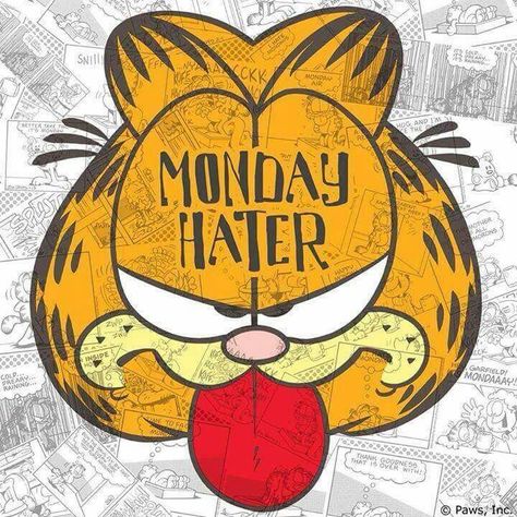 Garfield Monday, Garfield Quotes, Garfield Images, Monday Humor Quotes, Whatsapp Pictures, Garfield Cartoon, Sublimacion Ideas, I Hate Mondays, Garfield Comics