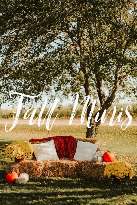 Fall Pictures Props, Diy Fall Photo Backdrop Outdoor, Fall Outdoor Photoshoot Setup Family, Simple Fall Photoshoot Setup, Fall Decor For Photo Shoot, Fall Family Photo Prop Ideas, Fall Photoshoot Decor Ideas, Fall Family Mini Sessions Set Up Outdoor, Fall Mini Sessions Hay Bales