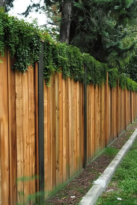 40 Privacy Fence Ideas: Stylish Solutions for a Backyard Retreat Fenced In Patio, Cheap Diy Fence, Diy Fence Ideas, Privacy Fence Ideas, Farmhouse Backyard, Backyard Gates, Diy Privacy Fence, Wood Privacy Fence, Privacy Wall