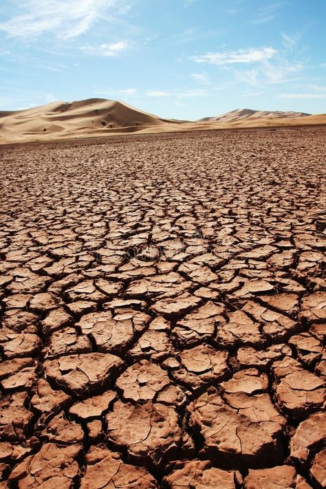 Water In The Desert, Desert Africa, Pollution Pictures, Negev Desert, Quick Sand, 숲 사진, Morocco Africa, Desert Pictures, Desert Sahara