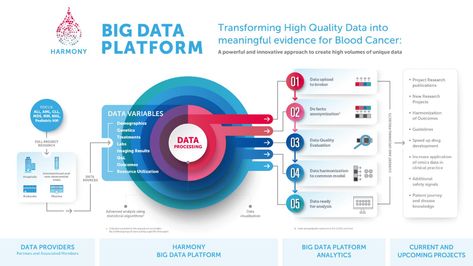 Presenting the HARMONY Big Data Platform Infographic - HARMONY Alliance Complex Infographic, Diagrams Infographic, Project Management Infographic, Infographic Diagram, Flow Chart Design, Dashboard Examples, Business Strategy Management, Data Platform, Enterprise Architecture