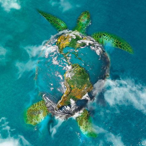 Earth Turtle, Sky Woman, Weird History Facts, World Turtle, Turtle Stuff, World Turtle Day, Creation Of The World, Native American Legends, Turtle Island