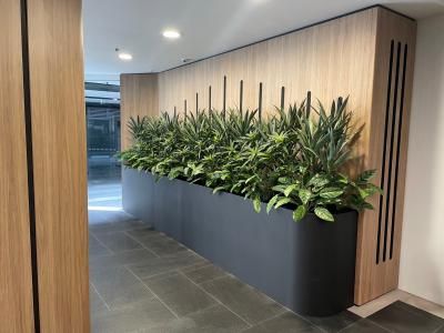 Interior Plants Decoration, Plant Office Design, Plants For Office, Indoor Planter Box, Long Planter, Indoor Plant Wall, Plant Window, Artificial Plants Indoor, Fake Plants Decor