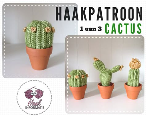 Haakpatroon cactus 1 van 3. Dit is een patroon van een cactus bestaande uit een set van 3 gehaakte cactussen. Wil jij ook cactussen haken? Op Haakinformatie vind je het patroon. Crochet Succulent, Cactus Printable, Cactus Art Print, Cactus Drawing, Diy Crochet Patterns, Cactus Party, Cactus Diy, Crochet Cactus, Cactus Wall Art