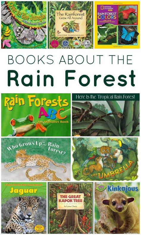 Rain Forest Books for Kids Rainforest Lesson Plans, Rainforest Activities For Kids, Rainforest Preschool, Rainforest Crafts, Preschool Jungle, Rainforest Activities, Diarama Ideas, Jungle Crafts, Forest Rain