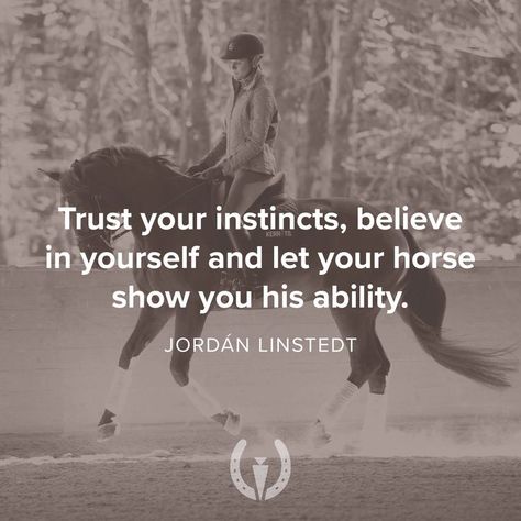 Horse Quotes Meaningful Short, Dressage Quotes, Quotes About Horses, Cute Horse Quotes, Rider Quotes, Equine Quotes, Barrel Racing Quotes, Horse Quote, Trail Riding Horses