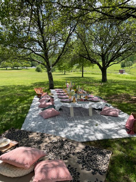 20th Birthday Ideas Outdoor, Outdoor 20th Birthday Party, Sweet 16 Park Party Ideas, Sweet 16 Picnic Aesthetic, Sweet 16 Picknick, Birthday Party At Park Decor, Outside Birthday Picnic, 16 Birthday Party Ideas Picnic, Picnic Brunch Birthday Party