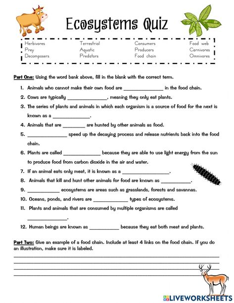 Grade 4 Natural Science Worksheets, Year 5 Science Worksheets, Grade 7 Science Worksheets, Sixth Grade Worksheets, Ecosystem Activities For Kids, Grade 5 Science Worksheets, Grade 4 Science Worksheets, Science Worksheets For 4th Grade, Ecosystems 4th Grade