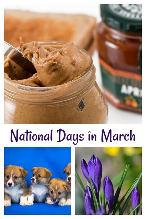 March National Days from peanut butter lovers day, to pets day and flowers day, every day of March is a reason to celebrate.  #nationaldays #celebrateationaldays #celebrations #holidays National Days In March, March Themes, A Days March, March Month, Crazy Facts, National Days, Lovers Day, Good Excuses, Peanut Butter Lovers