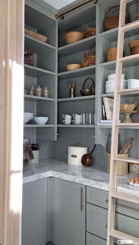 Pantry Wallpaper Ideas, Pantry In Kitchen, Pantry Storage Organization, Small Pantry Organization Ideas, In Kitchen Pantry, Pantry Wallpaper, Pantry Renovation, House Pantry, Pantry Inspiration