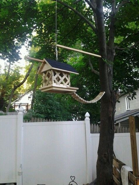 Squirrel Chipmunk House, Squirrel Feeder Diy, Squirrel House, Squirrel Home, Squirrel Feeders, Homemade Bird Houses, Squirrel Feeder, Outdoor Crafts, Easy Coffee