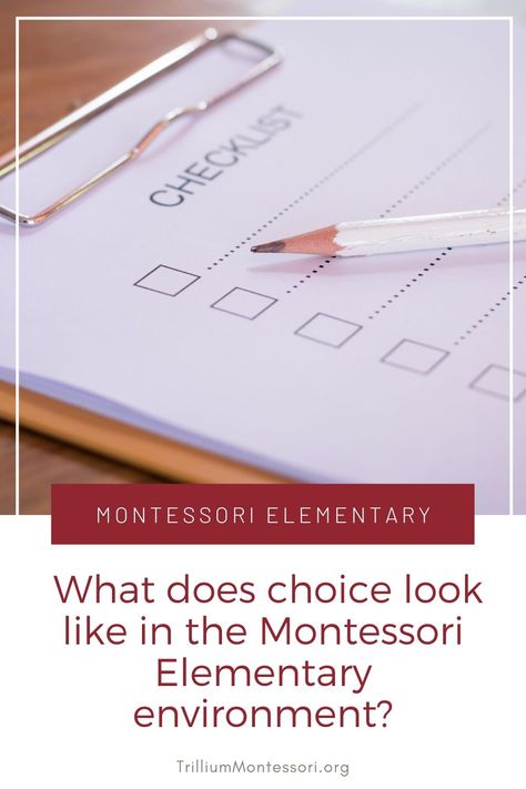 Suggestions for working with Montessori elementary students Upper Elementary Montessori, Elementary Montessori Classroom, Elementary Montessori, Classroom Word Wall, Montessori Elementary, Montessori Method, Montessori Lessons, Montessori Art, Elementary Lesson Plans