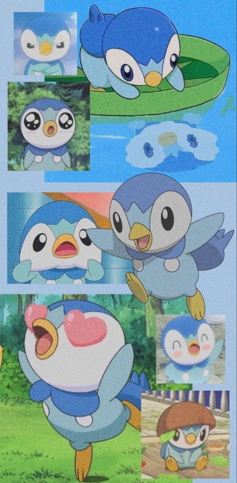 Piplup Wallpaper Iphone, Turtwig Wallpaper, Pokemon Piplup Wallpaper, Piplup Aesthetic, Piplup Phone Wallpaper, Piplup Pfp, Piplup Wallpaper, Penguin Pokemon, Oshawott Wallpaper