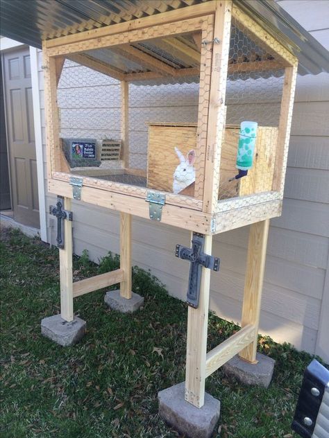 Diy Bunny Hutch, Rabbit Cages Outdoor, Diy Bunny Cage, Rabbit Hutch Plans, Diy Rabbit Cage, Rabbit Hutch Indoor, Indoor Rabbit Cage, Diy Rabbit Hutch, Outdoor Rabbit Hutch