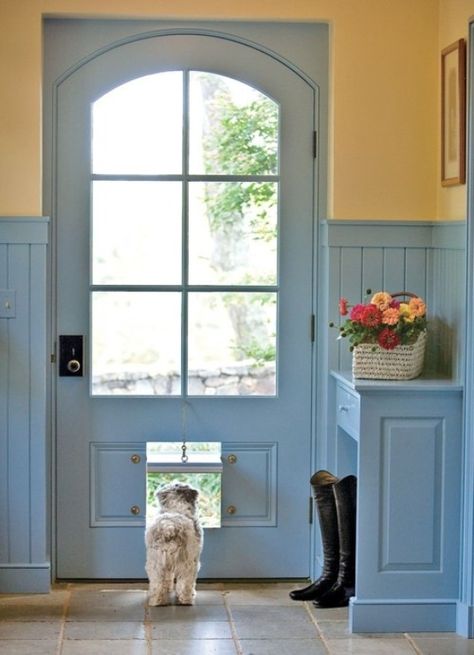 ; ) Yellow Cottage, Blue Cottage, Pet Door, Dog Door, Blue Door, Beautiful Doors, Back Doors, Wainscoting, The Room