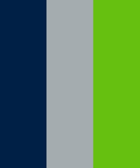 Logo Color Inspiration, Seahawks Colors, Email Examples, Colors Palette, Seattle Seahawks, Logo Color, Color Names, Main Colors, Logo Inspiration