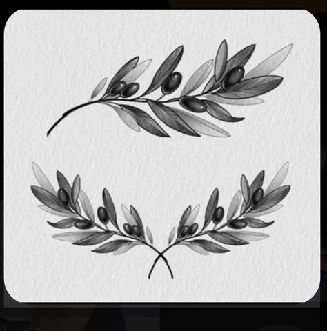 Oak Leaf Tattoos, Calf Tattoo Ideas, Laurel Wreath Tattoo, Olive Tattoo, Tree Branch Tattoo, Dragon Tattoo Drawing, Olive Branch Tattoo, Branch Drawing, Wreath Tattoo