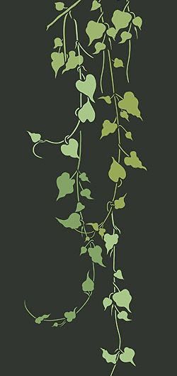 Vine Leaves Drawing, Rose Vine Painting, Aesthetic Vines Drawing, Vine Pattern Design, Vines Design Drawing, Vine Artworks, Vines Outline, Vines Drawing Simple, Vines Illustration