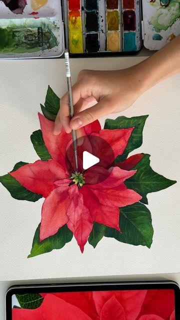 Poinsettias Drawing, How To Draw Poinsettia, Christmas Holly Drawing, Poinsettia Watercolor, Watercolor Poinsettia, Christmas Flowers Watercolor, How To Paint A Watercolor Poinsettia, Watercolor Poinsettia Tutorial, Watercolor Blog