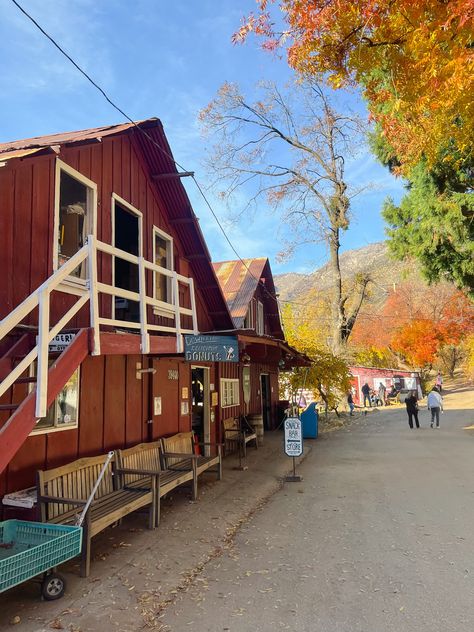 A Day Trip to Oak Glen (from Los Angeles) | A Detailed Itinerary — Entertain the Idea Gingerbread Garland, Diy Anthropologie, Stone Fireplace Wall, Oak Glen, Apple Orchards, Warm Apple Cider, Anthropologie Inspired, Starbucks Pumpkin, San Bernardino County