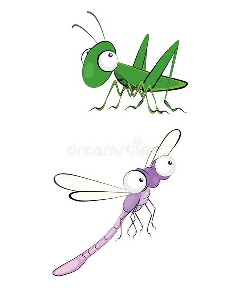 Two insect - grasshopper and dragonfly royalty free illustration Dragonfly Vector, Dragonfly Illustration, Cute Paintings, Free Illustration, Free Illustrations, Painted Rocks, Flower Painting, Insects, Stock Illustration