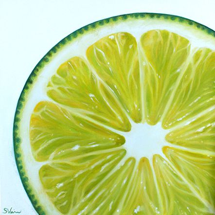 Lime Slice Painting, Lime Drawings Fruit, Lime Paintings, Lime Drawings, Citrus Painting, Lime Art, Lime Wallpaper, Drawing Fruit, Food Paintings