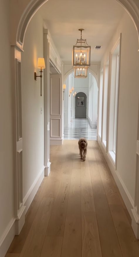 House Hallway Aesthetic, Aesthetic Hallway House, Womens Study Room Home Office, Amy Havins House, House Celling Design, Parisian Home Exterior, Small Apartment Hallway, Parisian Home Aesthetic, Parisian House Exterior