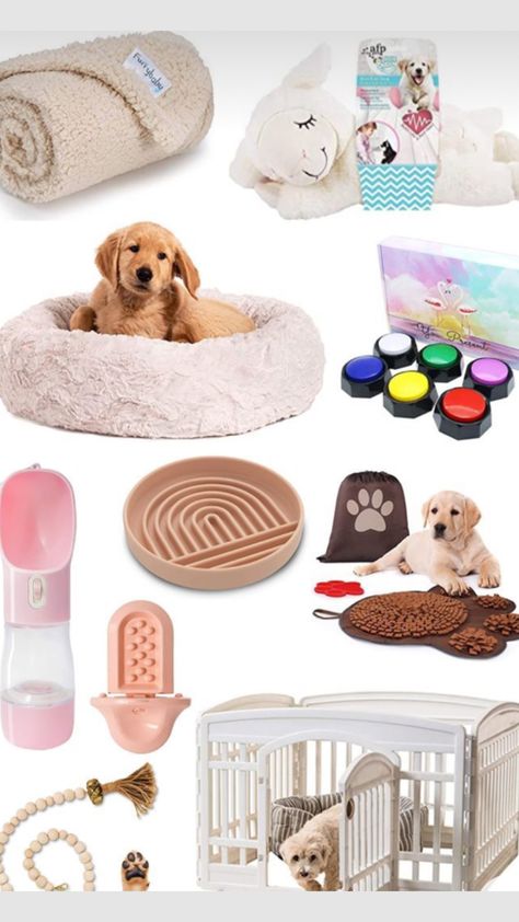 Small Dog Decor, Dog Owner Essentials, Essentials For Puppy, Minimalist Dog Supplies, Small Dog Necessities, Pink Puppy Supplies, What To Get For A New Puppy, Aesthetic Puppy Accessories, Must Have Puppy Essentials