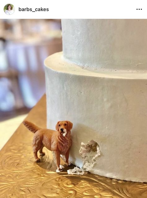 Wedding Cake With Dog, Cake With Dog, Wedding Cakes Dog, Acai Recipes, Cake Dog, Dog Peeking, Tiffany Wedding, Dog Cakes, Simple Wedding Cake