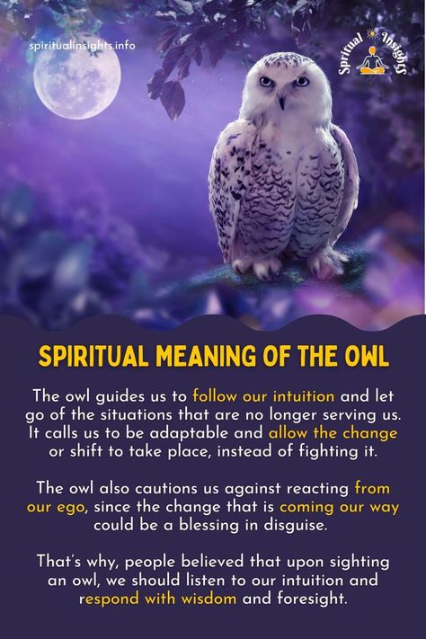 Spiritual Meaning of the Owl Moon Profile, Feminine Wellness, Owl Symbolism, Cute Owl Tattoo, Spirit Animal Meaning, Animal Meanings, Moon Nature, Spirit Animal Totem, Animal Spirit Guide