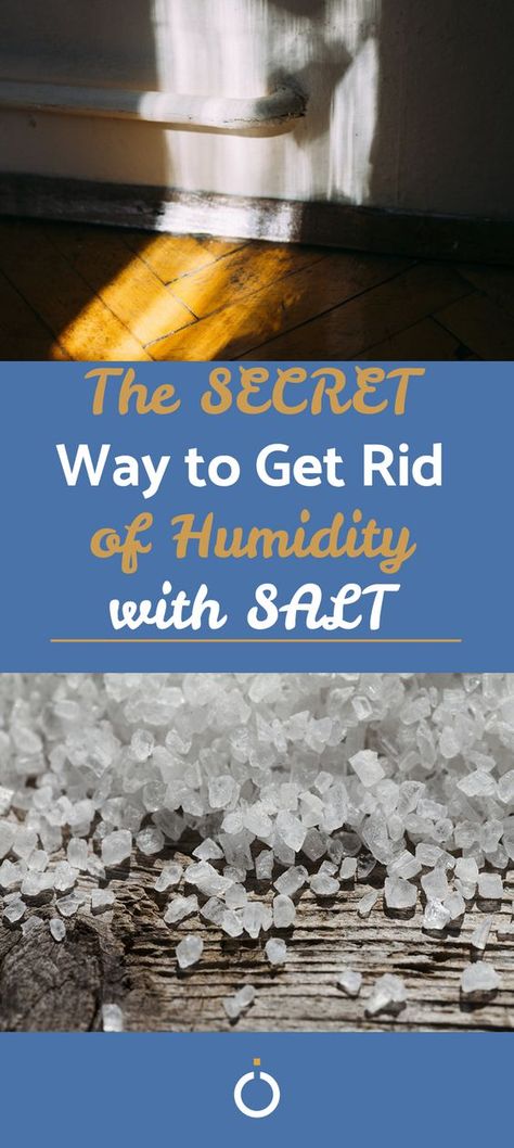 Uses For Salt Around The House, Moisture Absorber Diy Home, How To Get Rid Of Moisture In House, Moisture Absorber Diy, Natural Dehumidifier Diy, Diy Salt Room At Home, Diy Moisture Absorber Closet, How To Reduce Humidity In Home, Diy Dehumidifier Homemade