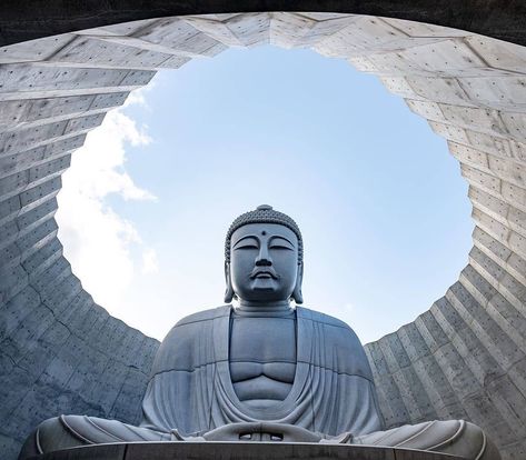 Hill Of The Buddha, Northern Japan, Giant Buddha, Lavender Plants, Tadao Ando, Famous Architects, Lavender Plant, The Buddha, Visit Japan