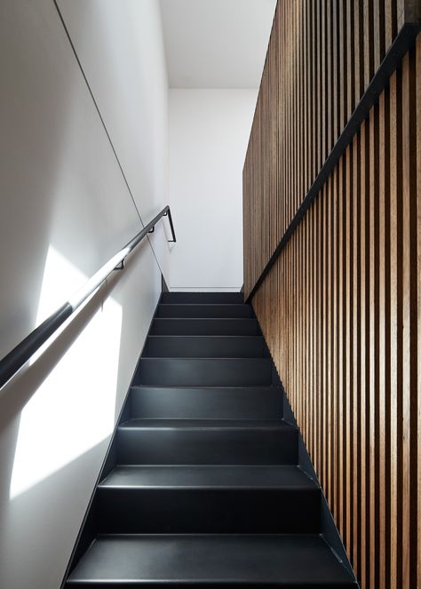 Gallery Of Elgin St Residence By Sonelo Design Local Australian Design And Interiors Carlton, Vic Image 5 All Black Stairs, Painted Staircase, Balcony Glass Design, Lakeside Lodge, Stair Ideas, Black Stairs, Staircase Design Modern, Matte Black Kitchen, Timber Battens