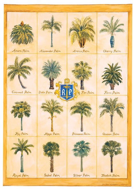 #royalpalmproperties #royalpalm #streetsofRPYCC The 16 palm trees that make up the streets of Royal Palm Yacht & Country Club.  Name some streets that you have lived on that are named after trees... Royal Palm Tree Landscape, Different Types Of Palm Trees, Palm Tree Landscaping, Royal Palm Tree, Types Of Palm Trees, Palm Tree Types, Palm Trees Garden, Garden Huts, Club Name