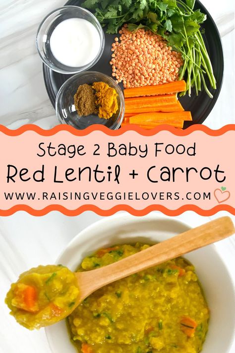 This Red Lentil   Carrot Baby Food Mash is packed with protein and vitamins, perfect for your 6 month  baby. #babyfoodrecipes #babyfoodstage2 #lentils #carrots Blw Lentils, Blw Lentil Recipes, Protein Baby Food Puree, Red Lentil Baby Food Recipe, Lentils For Toddlers, Lentil Recipes For Kids, Lent Friday Meals Dinners, Chickpea Baby Food Recipes, Lentils For Babies