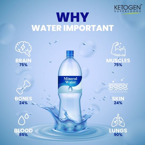 Importance Of Drinking Water, Mineral Water Brands, Kangen Water Machine, Water For Health, Glasses Of Water, Water Hydration, Drink Enough Water, Drinking Enough Water, Importance Of Water