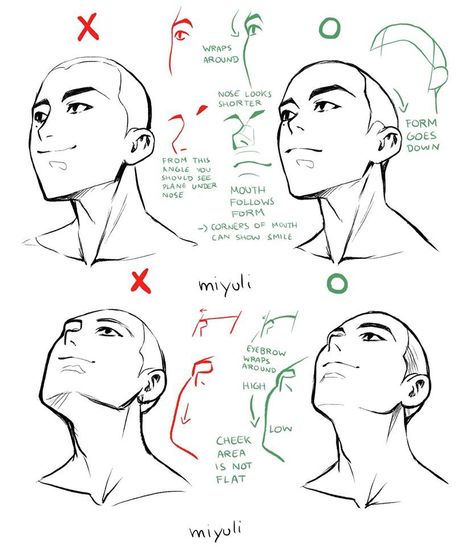 Some head related art notes. I hope some of these... - miyuli Art Notes, 얼굴 드로잉, Art Advice, Face Drawing Reference, Body Drawing Tutorial, 얼굴 그리기, Human Anatomy Art, Body Reference Drawing, Drawing Expressions