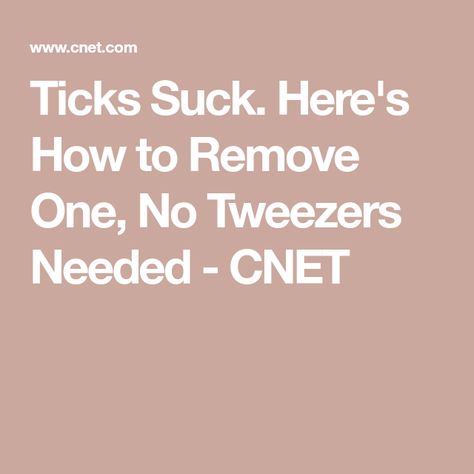 Ticks Suck. Here's How to Remove One, No Tweezers Needed - CNET How To Remove Ticks From People, Removing A Tick From A Person, Wood Tick, Tick Removal, How To Protect Yourself, Cotton Ball, Medical Advice, Tweezers, Ticks