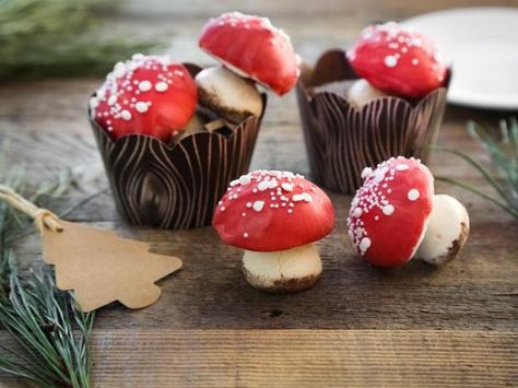 The holiday treat experts at HGTV.com share an easy recipe for adorable no-bake cookies that look just like mini mushrooms. Mushroom Shaped Dessert, Mushroom Dessert Ideas, Macaron Mushrooms, Meringue Mushrooms Easy, Frog Shaped Food, Mushroom Shaped Food, Mushroom Shaped Cake, Mushroom Macarons, Toadstool Cookies