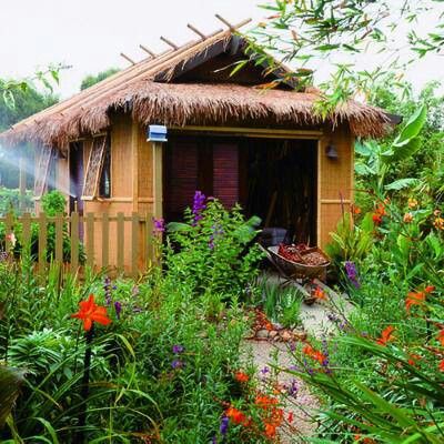 Polynesian-style tool shed Garden Shed Exterior Ideas, Garden Shed Ideas Exterior, Shed Exterior Ideas, Shed Landscaping, Backyard Sanctuary, Shed Decor, Tropical Garden Design, Tropical Backyard, Backyard Studio