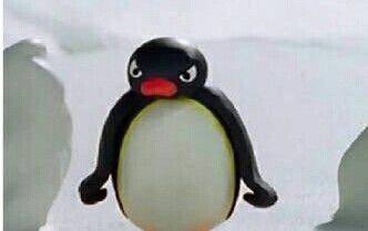 Pingu Memes, Pingu Pingu, Noot Noot, Current Mood Meme, Putao, Cartoon Profile Pictures, Cartoon Logo, 웃긴 사진, Cartoon Memes