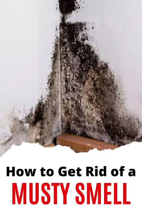 How to Get Rid of a Musty Smell Musty Smell In House, Old House Smells, Mold Smell, Mold And Mildew Remover, Carpet Smell, Teenage Boy Room, Cave Basement, Mildew Remover, Smelling Good