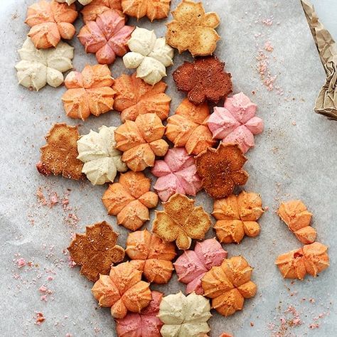 Pumpkin Spice Spritz Cookies Cookie Press Recipes, Spritz Cookie Recipe, Cookie Sandwich, Pumpkin Spice Cookies, Spritz Cookies, Shaped Cookies, Cookie Press, Cookie Flavors, Cookies For Kids