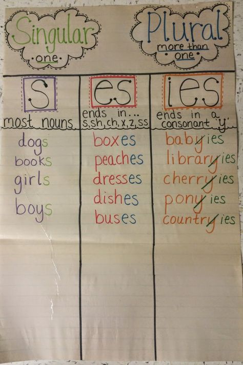 Subject Anchor Chart Second Grade, Plurals Anchor Chart, Classroom Anchor Charts 2nd Grade, Esl Anchor Charts, Plural Anchor Chart, Anchor Charts For Second Grade, Second Grade Anchor Charts, Plural Nouns Anchor Chart, 1st Grade Anchor Charts